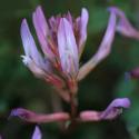 Img.VTax609.ExN.Img6