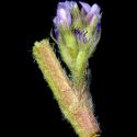 Img.VTax616.ExN.Img8