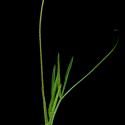 Img.VTax661.ExN.Img3