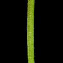 Img.VTax668.ExN.Img6