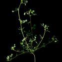 Img.VTax739.ExN.Img9