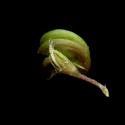 Img.VTax752.ExN.Img9