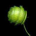 Img.VTax754.ExN.Img6