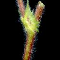 Img.VTax758.ExN.Img9