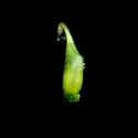 Img.VTax774.ExN.Img9