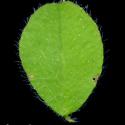 Img.VTax811.ExN.Img9