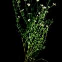 Img.VTax822.ExN.Img9