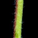 Img.VTax830.ExN.Img4