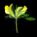 Img.VTax835.ExN.Img9