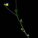 Img.VTax841.ExN.Img11