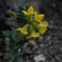 Img.VTax841.ExN.Img8