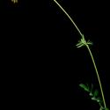 Img.VTax852.ExN.Img15
