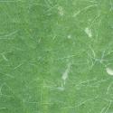 Img.VTax853.ExN.Img8