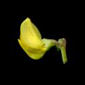 Img.VTax856.ExN.Img6