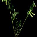 Img.VTax869.ExN.Img10