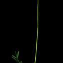 Img.VTax879.ExN.Img15