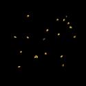 Img.VTax883.ExN.Img1