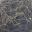 Img.VTax921.ExN.Img3