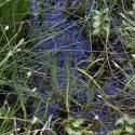 Img.VTax923.ExN.Img2