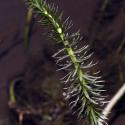 Img.VTax923.ExN.Img4