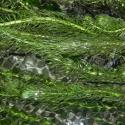 Img.VTax923.ExN.Img8