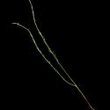 Img.VTax934.ExN.Img6