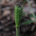 Img.VTax957.ExN.Img6
