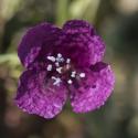 Img.VTax960.ExN.Img6