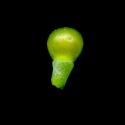 Img.VTax983.ExN.Img3