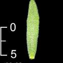 Img.VTax1052.ExN.Img8