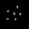 Img.VTax1069.ExN.Img14