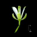 Img.VTax1075.ExN.Img8