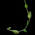 Img.VTax1092.ExN.Img9