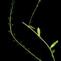 Img.VTax1119.ExN.Img8