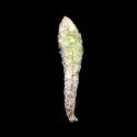 Img.VTax1199.ExN.Img6