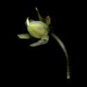 Img.VTax1290.ExN.Img4