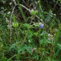 Img.VTax1381.ExN.Img7