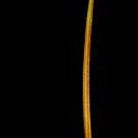 Img.VTax1387.ExN.Img8