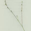 Img.VTax1418.ExN.Img6