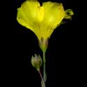 Img.VTax1418.ExN.Img7