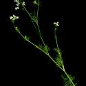 Img.VTax1523.ExN.Img9