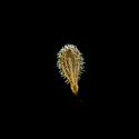 Img.VTax1533.ExN.Img5