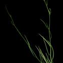 Img.VTax1569.ExN.Img10