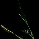Img.VTax1603.ExN.Img8