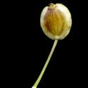 Img.VTax1608.ExN.Img9