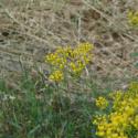 Img.VTax1609.ExN.Img4