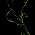 Img.VTax1625.ExN.Img6