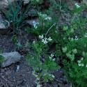 Img.VTax1629.ExN.Img5