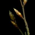 Img.VTax1647.ExN.Img12