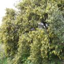 Img.VTax1653.ExN.Img9